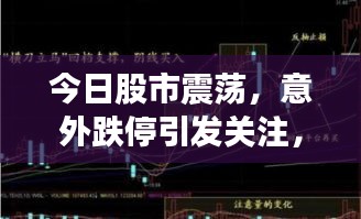 今日股市震荡，意外跌停引发关注，炒股跳楼事件最新消息曝光
