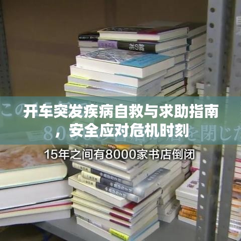 开车突发疾病自救与求助指南，安全应对危机时刻