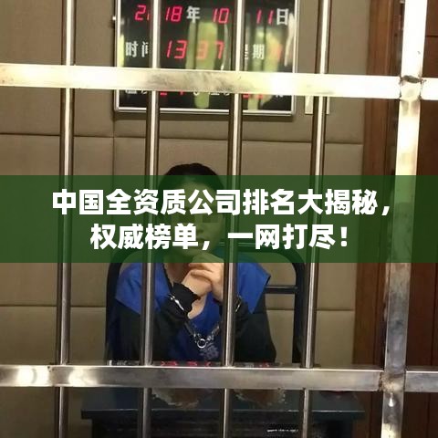 中国全资质公司排名大揭秘，权威榜单，一网打尽！