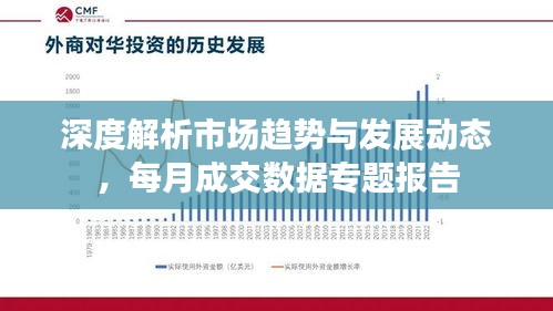 深度解析市场趋势与发展动态，每月成交数据专题报告