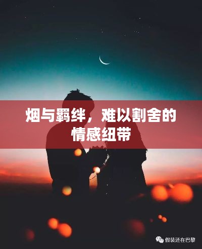 烟与羁绊，难以割舍的情感纽带