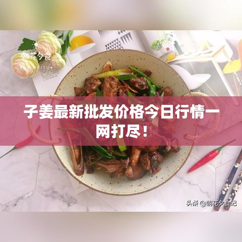 子姜最新批发价格今日行情一网打尽！