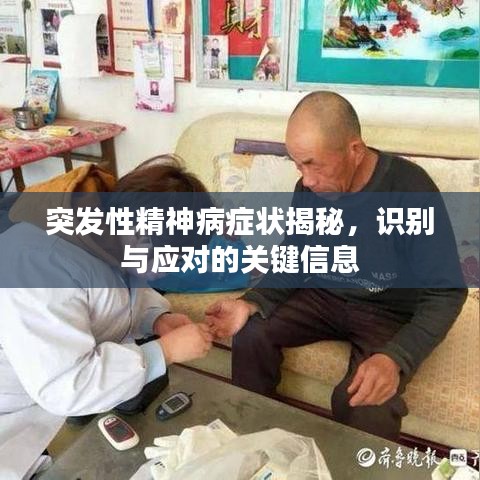 突发性精神病症状揭秘，识别与应对的关键信息