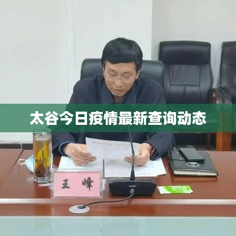 太谷今日疫情最新查询动态