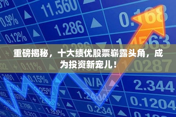 重磅揭秘，十大绩优股票崭露头角，成为投资新宠儿！