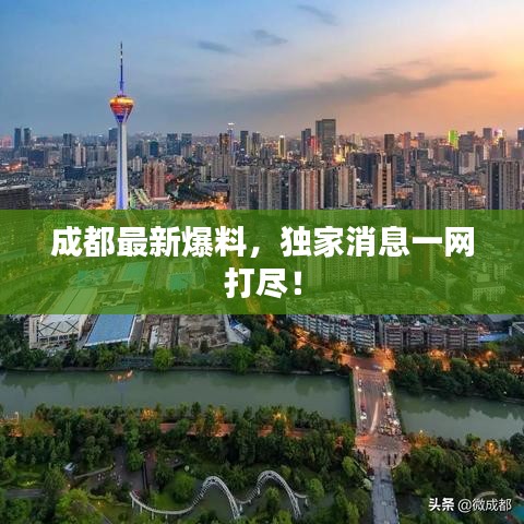 成都最新爆料，独家消息一网打尽！