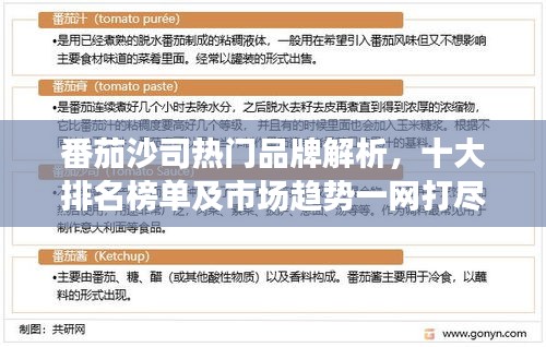 番茄沙司热门品牌解析，十大排名榜单及市场趋势一网打尽