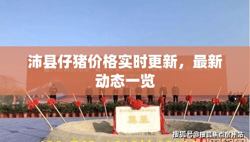 沛县仔猪价格实时更新，最新动态一览