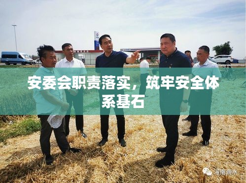 安委会职责落实，筑牢安全体系基石