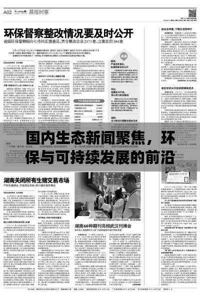 国内生态新闻聚焦，环保与可持续发展的前沿动态