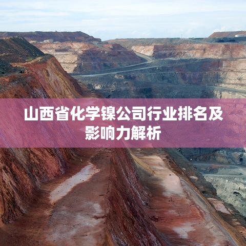 山西省化学镍公司行业排名及影响力解析