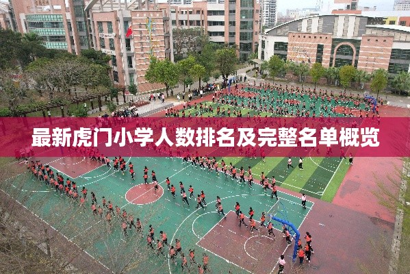 最新虎门小学人数排名及完整名单概览
