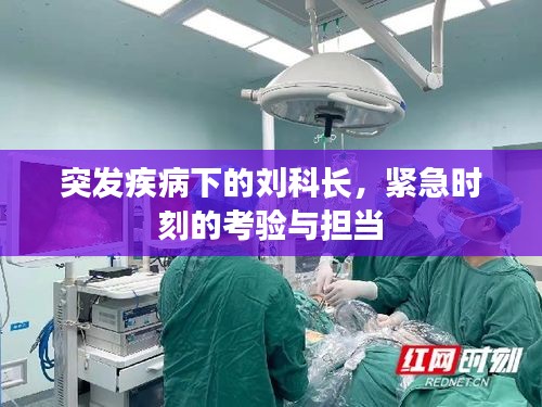 突发疾病下的刘科长，紧急时刻的考验与担当