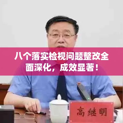 八个落实检视问题整改全面深化，成效显著！