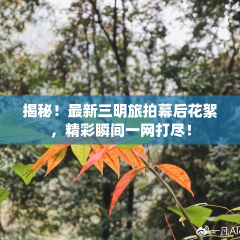 贵人善忘