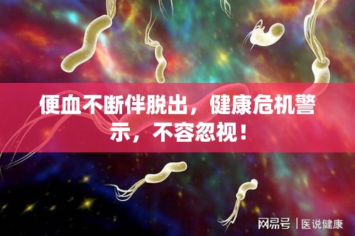 便血不断伴脱出，健康危机警示，不容忽视！