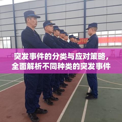 突发事件的分类与应对策略，全面解析不同种类的突发事件