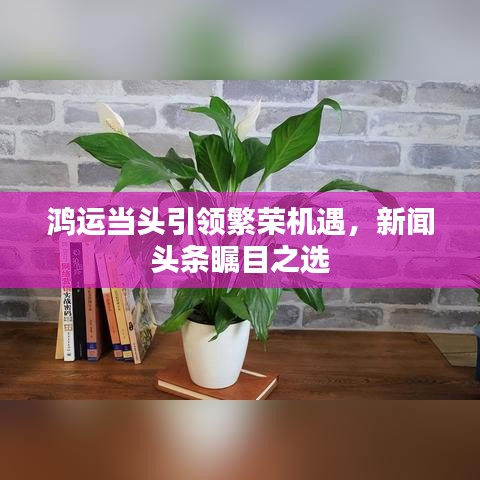鸿运当头引领繁荣机遇，新闻头条瞩目之选