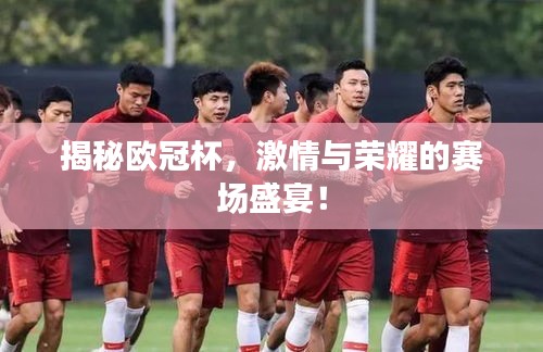 揭秘欧冠杯，激情与荣耀的赛场盛宴！