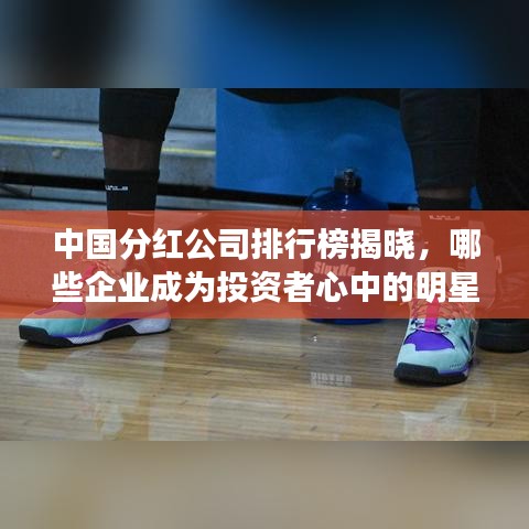 中国分红公司排行榜揭晓，哪些企业成为投资者心中的明星翘楚？