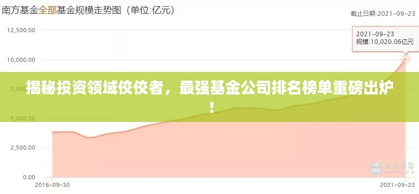 揭秘投资领域佼佼者，最强基金公司排名榜单重磅出炉！