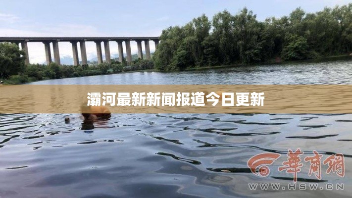灞河最新新闻报道今日更新