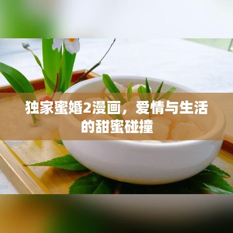 劳燕分飞