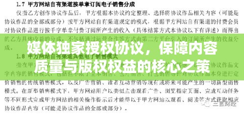 媒体独家授权协议，保障内容质量与版权权益的核心之策