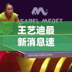 王艺迪最新消息速递，今日动态揭秘！