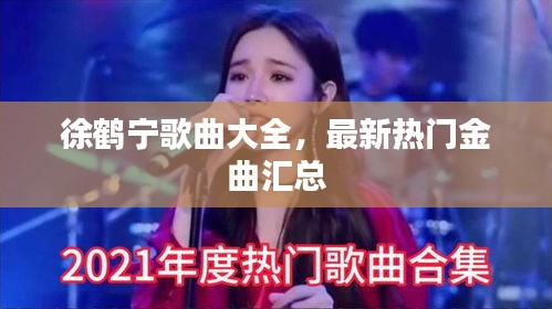 徐鹤宁歌曲大全，最新热门金曲汇总