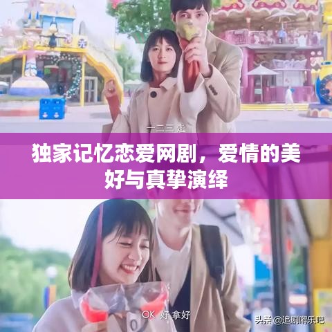 独家记忆恋爱网剧，爱情的美好与真挚演绎