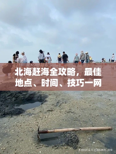 北海赶海全攻略，最佳地点、时间、技巧一网打尽！