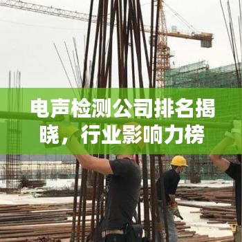 电声检测公司排名揭晓，行业影响力榜单揭秘！