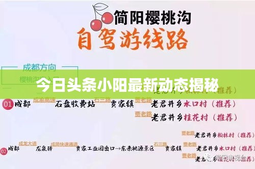 今日头条小阳最新动态揭秘