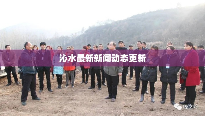 沁水最新新闻动态更新