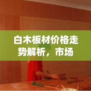 白木板材价格走势解析，市场趋势全面观察