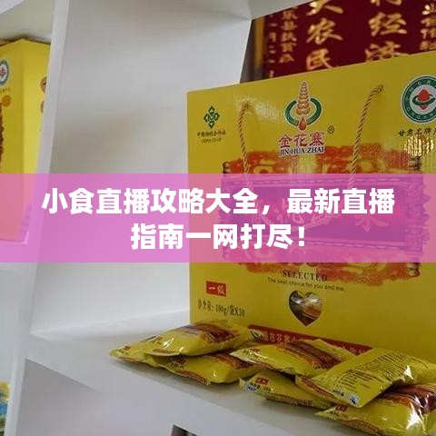 小食直播攻略大全，最新直播指南一网打尽！