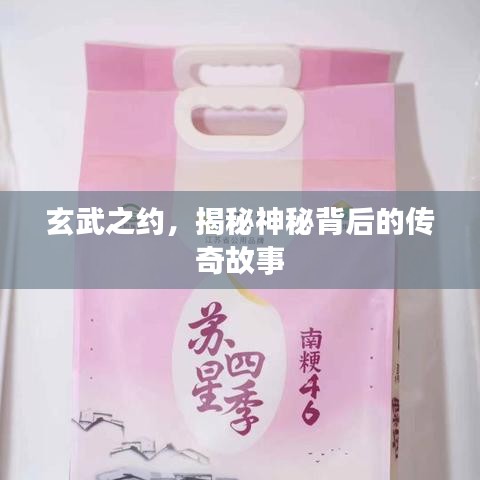 玄武之约，揭秘神秘背后的传奇故事