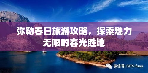 弥勒春日旅游攻略，探索魅力无限的春光胜地