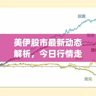 美伊股市最新动态解析，今日行情走势揭秘