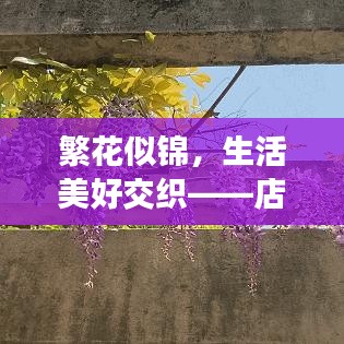 繁花似锦，生活美好交织——店内鲜花盛开，感受生活之美