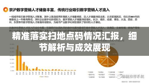 精准落实扫地点码情况汇报，细节解析与成效展现