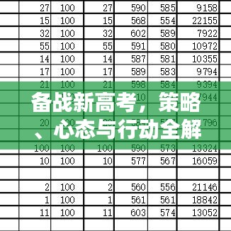 备战新高考，策略、心态与行动全解析