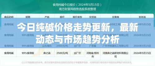 今日纯碱价格走势更新，最新动态与市场趋势分析