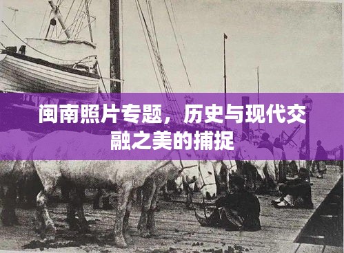 闽南照片专题，历史与现代交融之美的捕捉