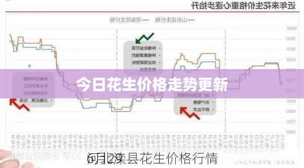 今日花生价格走势更新