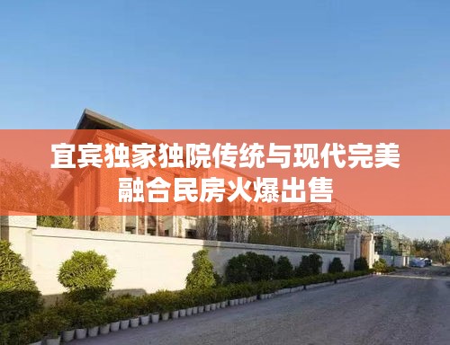 宜宾独家独院传统与现代完美融合民房火爆出售