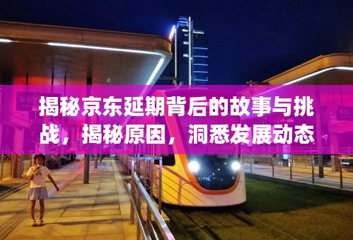 揭秘京东延期背后的故事与挑战，揭秘原因，洞悉发展动态