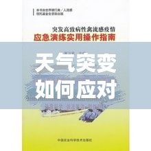天气突变如何应对与减少影响？实用指南助你应对突发天气状况！