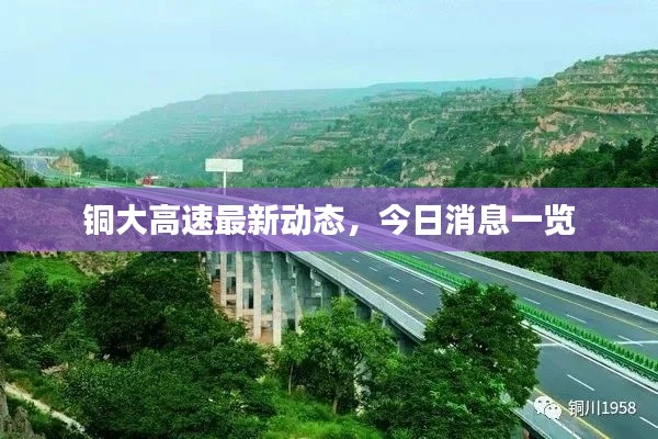 铜大高速最新动态，今日消息一览